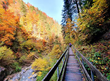 Bürserschlucht