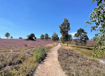 germany/lüneburg-heath/attraction/brunsberg