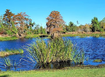 Fontainebleau State Park