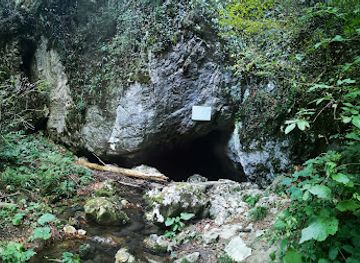 romania/caras-severin/attraction/pestera-buhui