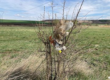 hungary/vac/attraction/csorogi-kilatopont-216m