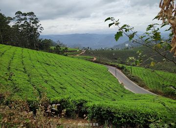 india/munnar/attraction/2nd-mile-view-point