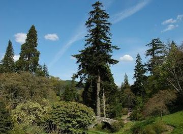 united-kingdom/radnorshire/attraction/dawyck-botanic-garden