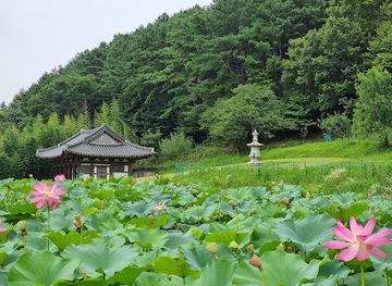 south-korea/honam-region/attraction/honglyeon-am