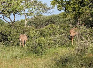 botswana/moremi-game-reserve/attraction/mokolodi-nature-reserve
