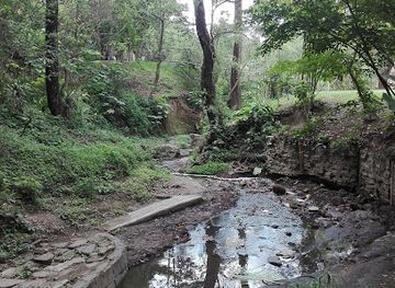 guatemala/guatemala-city/attraction/ecological-and-sports-park-cayala