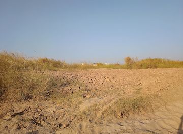 thailand/mekong-river-region/attraction/mekong-wild-beach