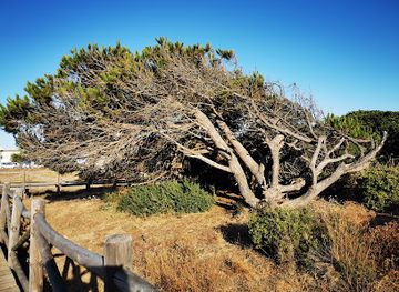 spain/costa-del-sol/attraction/dunas-de-artola-o-cabopino