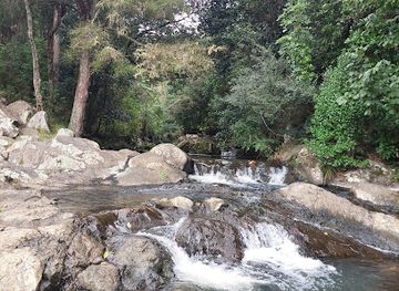 new-zealand/northland/attraction/raumanga-waterfall