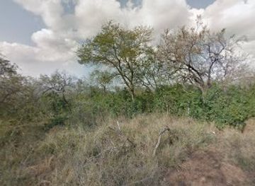 eswatini/hlane-royal-national-park/attraction/mbuluzi-game-reserve-south