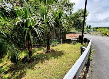 mauritius/riviere-du-rempart/attraction/pont-bon-dieu-cave