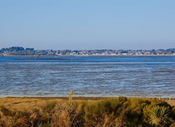 new-zealand/southland/attraction/bushy-point