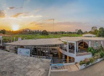 peru/ica/attraction/bodega-y-vinedo-sotelo