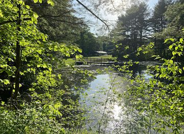 pennsylvania/allegheny-national-forest/attraction/sandy-beach-park