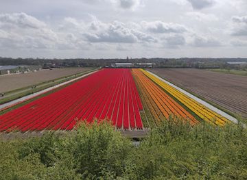 netherlands/bollenstreek/attraction/uitkijkpunt-tespelduyn