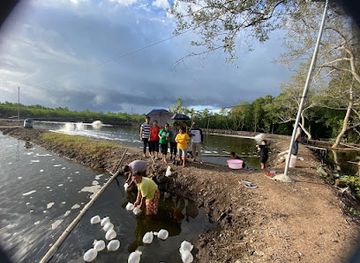 indonesia/pulau-bunaken/attraction/tambak-udang-vaname