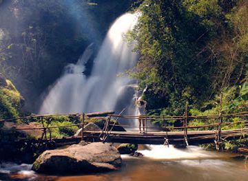 thailand/doi-inthanon/attraction/pha-dok-sieo-nature-trail