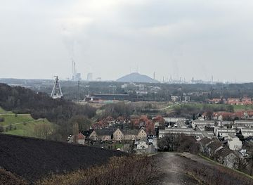 germany/ruhr/attraction/rungenberghalde
