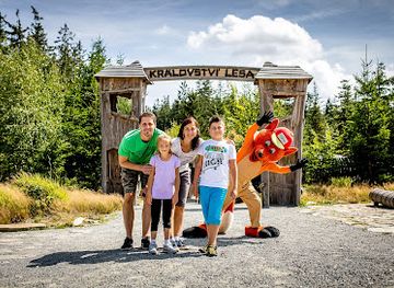 czechia/south-bohemia/attraction/kralovstvi-lesa-lipno