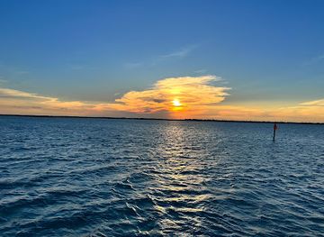 texas/south-padre-island/attraction/the-original-dolphin-watch