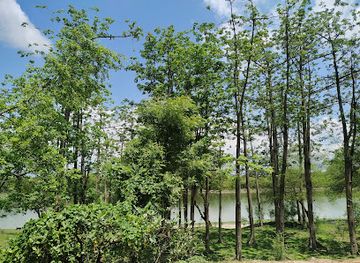 bangladesh/sundarbans-national-park/attraction/piyali-island-tourist-spot