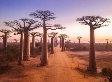 madagascar/antananarivo/attraction/t-t-madadiscover