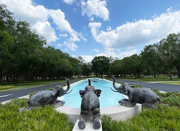 florida/ocala-national-forest/attraction/appleton-museum-of-art