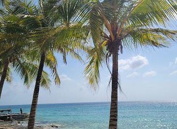 mexico/cozumel/attraction/dzul-ha