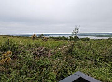 ireland/county-limerick/attraction/the-cailin-ban-viewing-platform