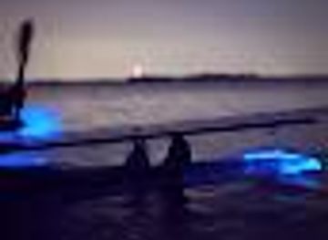 florida/cocoa-beach/attraction/florida-adventurer-bioluminescent-kayaking-cocoa-beach