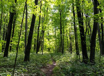 wisconsin/ice-age-trail/attraction/baxter-s-hollow