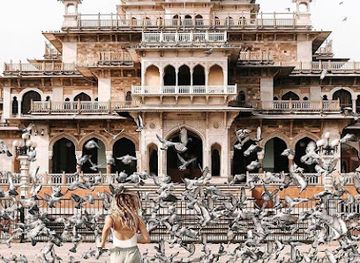 india/rajasthan/attraction/elefantastic-the-best-elephant-wildlife-sanctuary-in-india