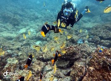 costa-rica/tamarindo/attraction/tamadive-tamarindo-diving-center