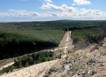 lithuania/curonian-spit-national-park/attraction/observation-bench