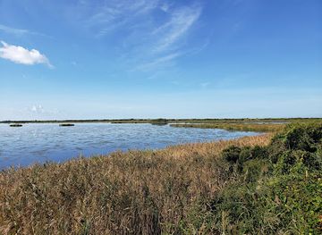 north-carolina/outer-banks/attraction/pea-island-national-wildlife-refuge