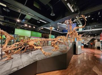 australia/melbourne/attraction/melbourne-museum