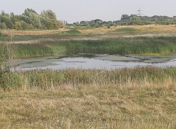 united-kingdom/east-midlands/attraction/rspb-langford-lowfields