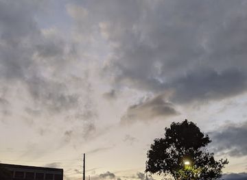 north-carolina/asheville/attraction/chicken-alley-mural