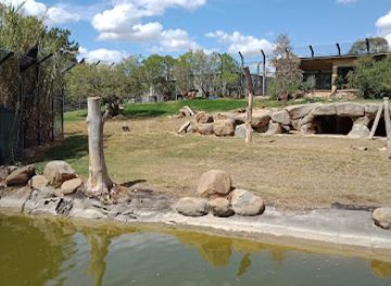 australia/canberra/manuka/attraction/national-zoo-aquarium