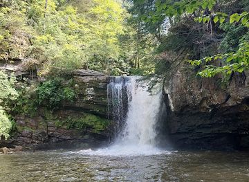 tennessee/cumberland-plateau/attraction/savage-gulf-state-park