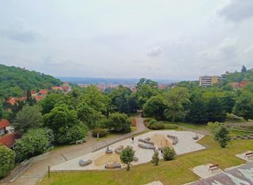 hungary/pecs/attraction/tettyei-mesztufa-barlang