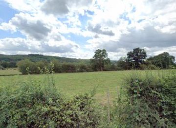 belgium/hautes-fagnes/attraction/the-treehouse