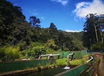 panama/boquete/attraction/bambito-trout-club-park