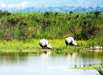 india/kaziranga-national-park/attraction/kaziranga-jeep-safari