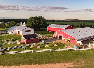 canada/charlottetown/attraction/island-hill-farm