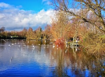 ireland/county-louth/attraction/stephenstown-pond