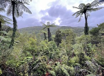 new-zealand/greymouth/attraction/omotumotu-bush-walk