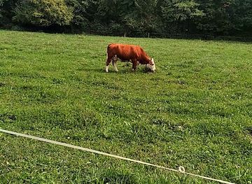 slovenia/nova-gorica/attraction/brunarica-sempeter