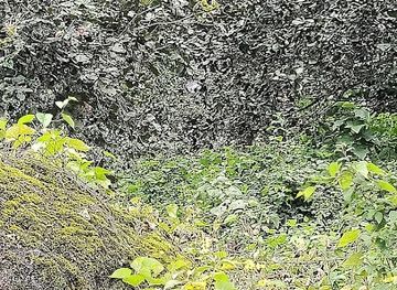 guatemala/quetzaltenango-xela/attraction/cascada-de-pachaj-olintepeque-quetzaltenango