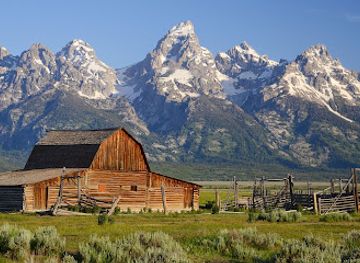 wyoming/jackson-hole/attraction/brushbuck-wildlife-tours